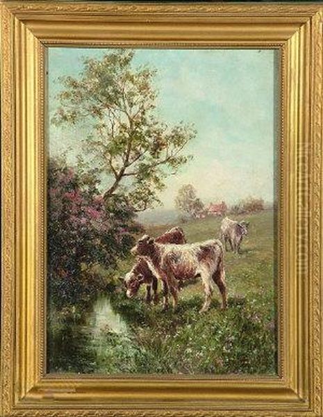 Calves In A Meadow Drinking From A Stream - view 1