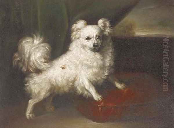 A pomeranian on a red cushion - view 1