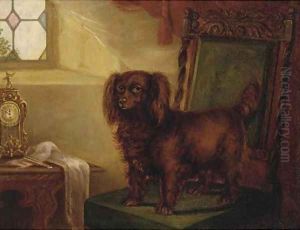 A spaniel in an interior by English School