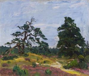 Heide Und Baume