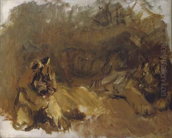 Lions - view 1