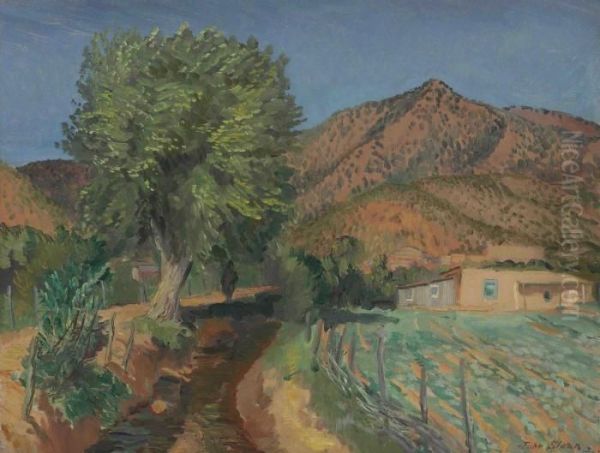The Acequia Madre - view 1