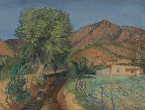 The Acequia Madre