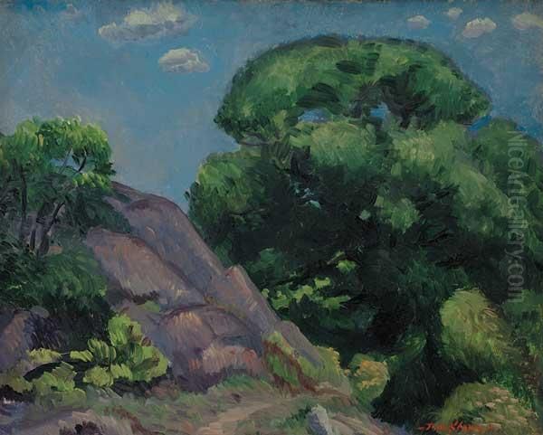 ''willows & Rocks'' - view 1