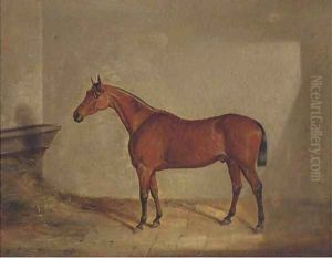 A bay hunter in a stable A bay hunter in a stable