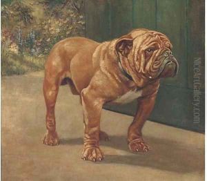 A bulldog 2 by English School