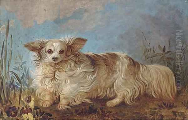 A papillon in a landscape - view 1