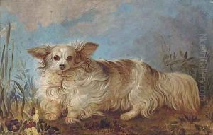 A papillon in a landscape A papillon in a landscape