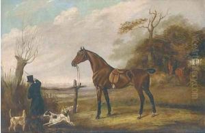A saddled dark brown hunter in a landscape