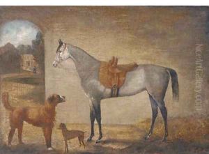 A saddled grey in a stable with two dogs by English School