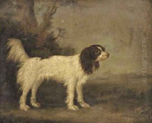 A springer spaniel in a landscape by English School