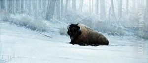 Bull Of The Woods Bull Of The Woods