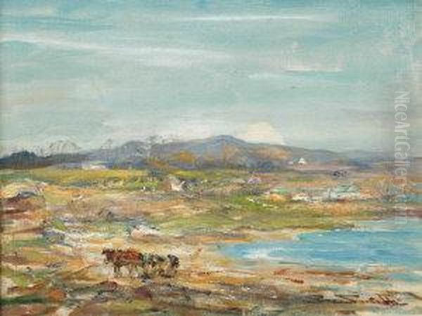 Gathering Rack From The Beach - view 1