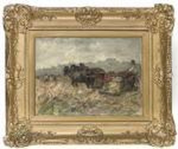 Harvest Time - view 1