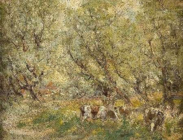Cattle Grazing In The Shade - view 1