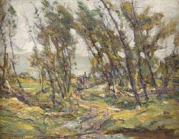 The Forest Path - view 1