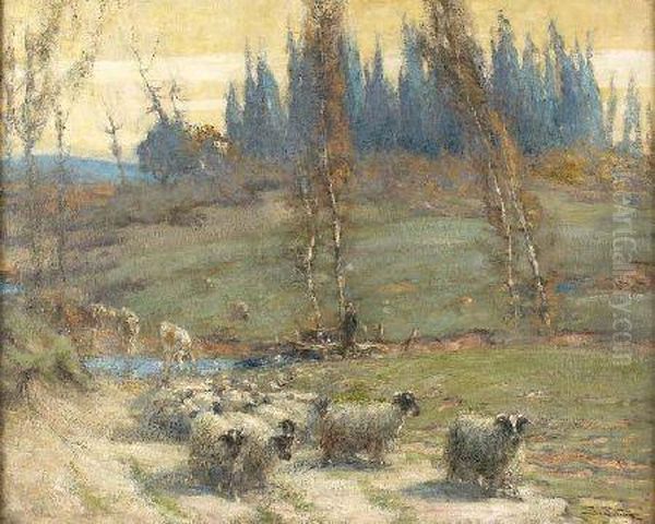 Sheep And Goats By A Stream - view 1