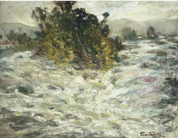 A River In Full Spate - view 1