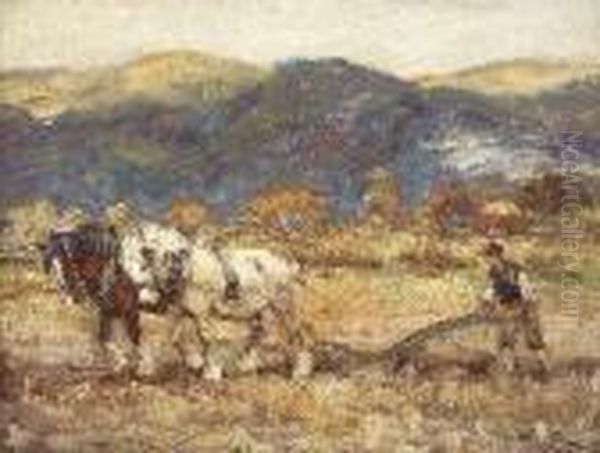 Ploughing - view 1