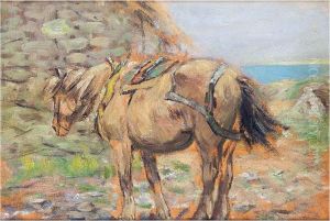 Barra Pony, Hebrides