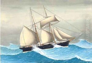 The Jersey schooner Empress at sea by English School