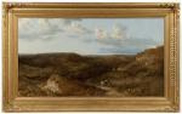 Mousehold Heath - view 1