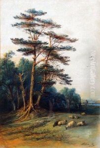 Sheep Grazing By A Woodland by Edward Robert Smythe