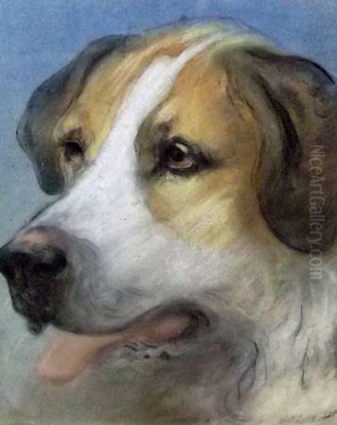 St Bernard Dog - view 1
