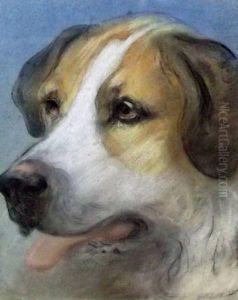 St Bernard Dog