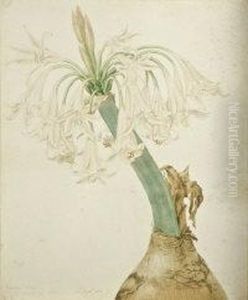Botanical Studies