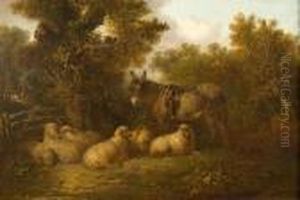 Donkey And Sheep By A Gate