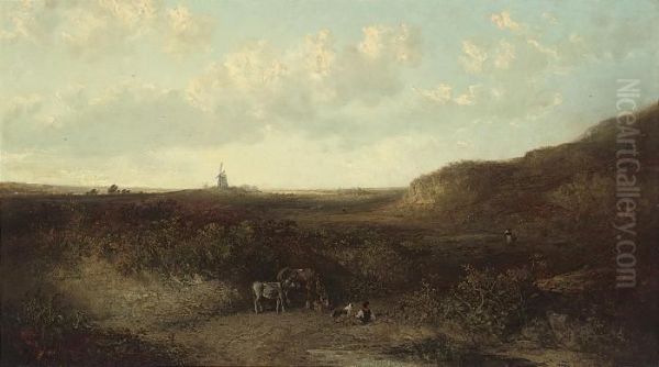 Breckland - view 1