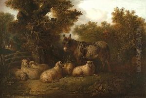 A Donkey And Sheep By A Gate by Edward Robert Smythe