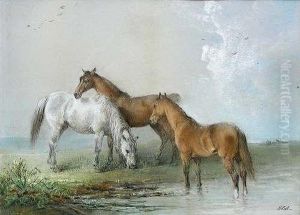 Abay And A Chestnut Pony At Water
