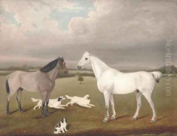 Two horses with three dogs in a landscape - view 1