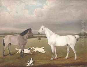 Two horses with three dogs in a landscape by English School
