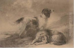 Spaniels On The Hill