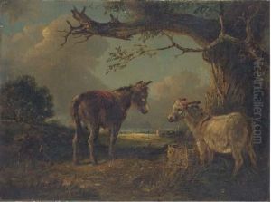 Two Donkeys In A Landscape