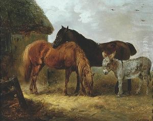 Horses And A Donkey