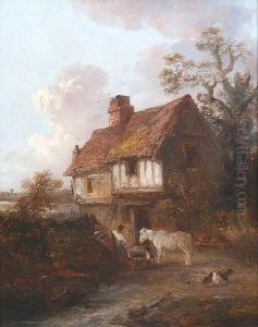 Grey Pony And Chickens By A Cottage