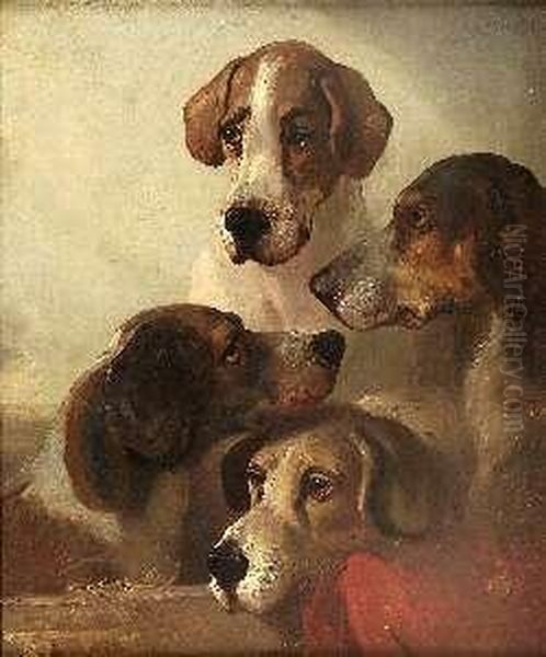 Hounds Study - view 1