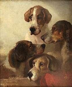 Hounds Study