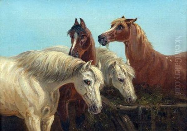 Horses By A Trough - view 1