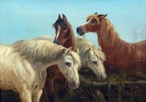 Horses By A Trough Horses By A Trough