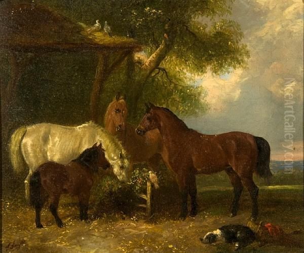 Horses With Dog And Doves Sheltering Beside Anoutbuilding - view 1
