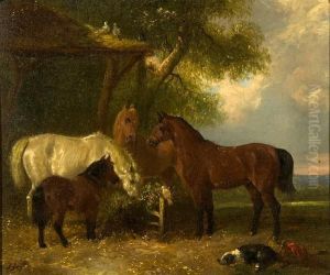 Horses With Dog And Doves Sheltering Beside Anoutbuilding
