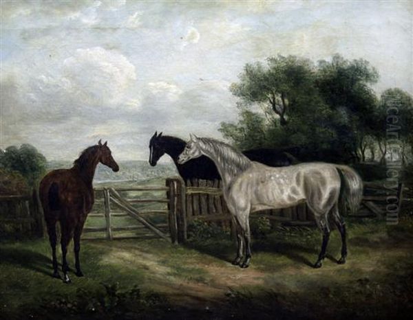 Three Horses Beside A Gate - view 1
