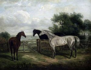 Three Horses Beside A Gate