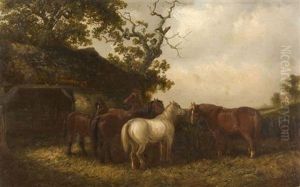 Horses Horses