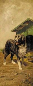 A dog by a kennel